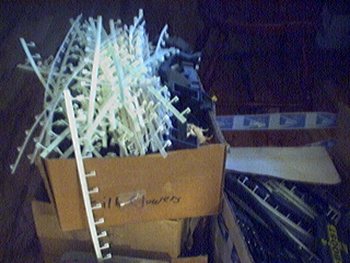 Picture 11.jpg