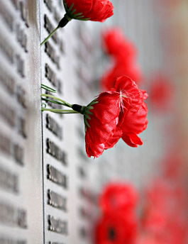 265px-Remebrance_poppy_ww2_section_of_Aust_war_memorial.jpg